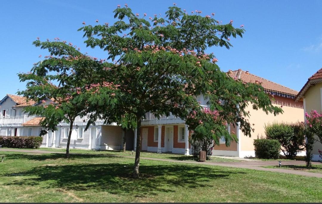 Appartement Au Calme Face Au Lac มาร์ซีอัก ภายนอก รูปภาพ